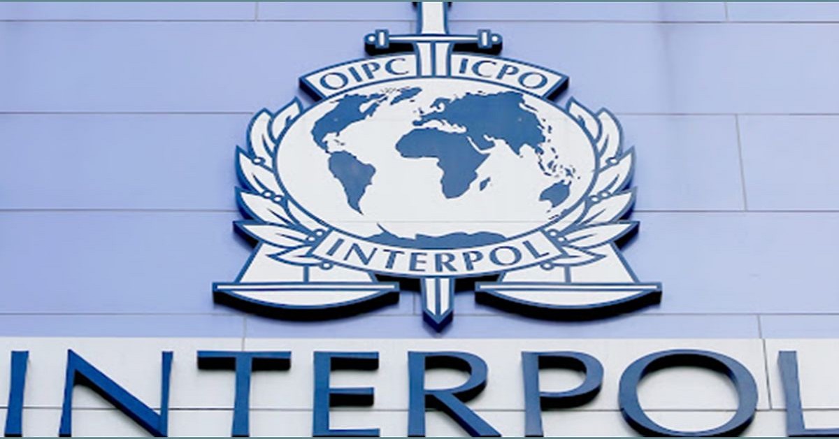 how interpol and extradition lawyers can help in international cases 