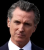 gavin newsom wealth