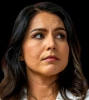 tulsi gabbard wealth