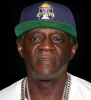 flavor flav net worth