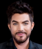 adam lambert net worth