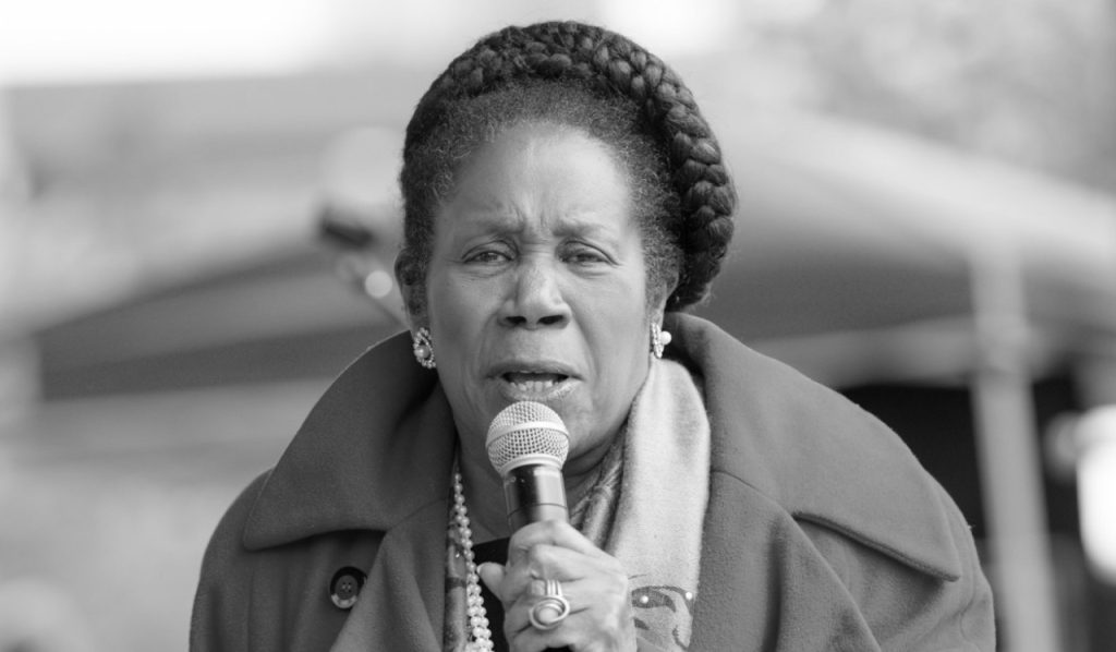 Sheila Jackson Lee Net Worth Funeral