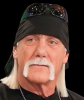 hulk hogan net worth