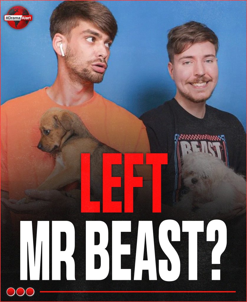 MrBeast Chandler Alive Missing Left