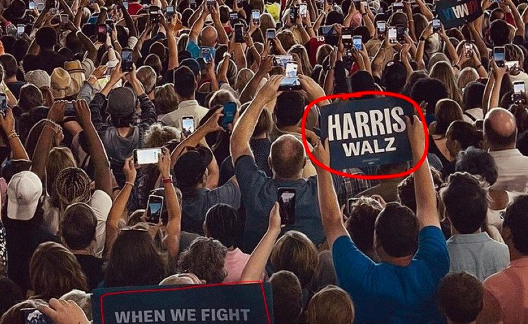 Kamala Harris Fake crowd